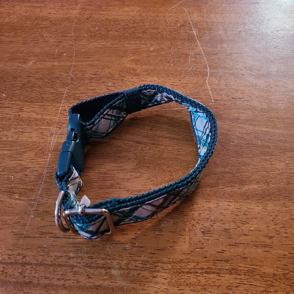 Thirty-one dog collar
